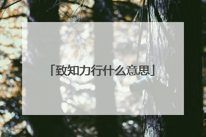 致知力行什么意思