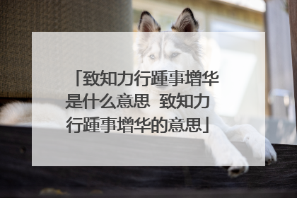 致知力行踵事增华是什么意思 致知力行踵事增华的意思
