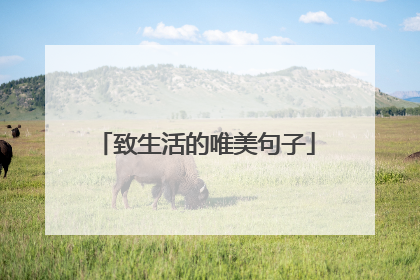 致生活的唯美句子