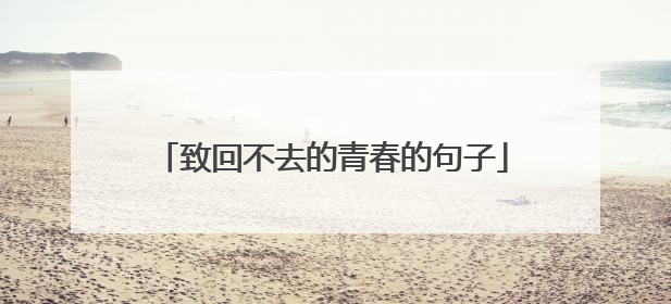 致回不去的青春的句子