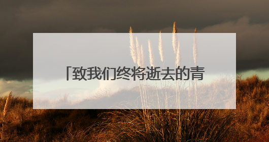 致我们终将逝去的青春心情随笔文章?