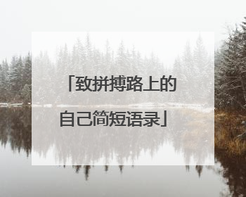 致拼搏路上的自己简短语录