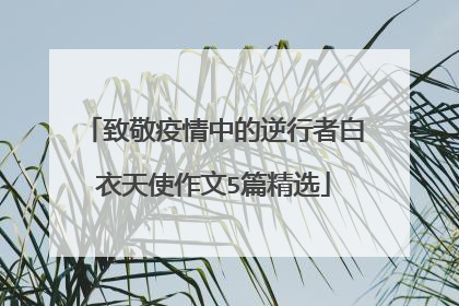 致敬疫情中的逆行者白衣天使作文5篇精选