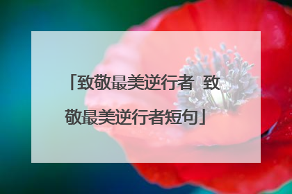 致敬最美逆行者 致敬最美逆行者短句