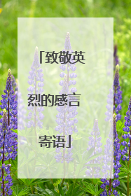 致敬英烈的感言寄语