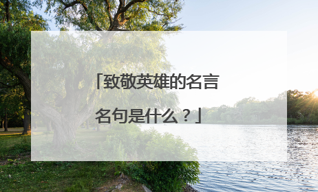 致敬英雄的名言名句是什么?