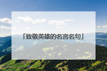 致敬英雄的名言名句
