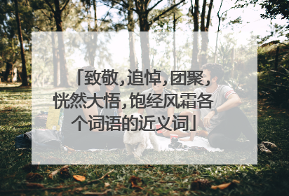 致敬,追悼,团聚,恍然大悟,饱经风霜各个词语的近义词