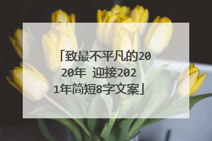 致最不平凡的2020年 迎接2021年简短8字文案