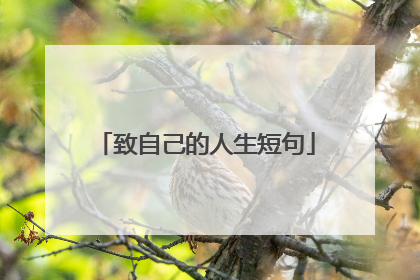 致自己的人生短句