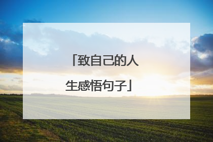 致自己的人生感悟句子