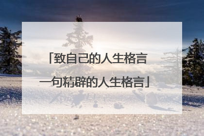 致自己的人生格言 一句精辟的人生格言