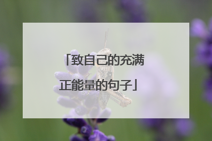 致自己的充满正能量的句子