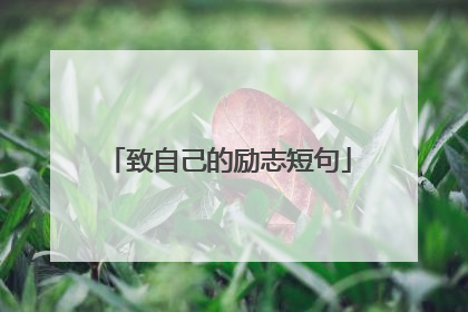 致自己的励志短句