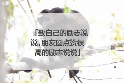 致自己的励志说说,朋友圈点赞很高的励志说说