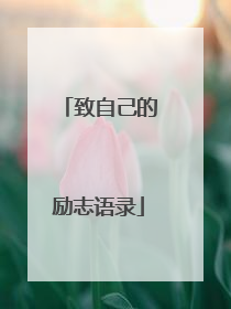 致自己的励志语录
