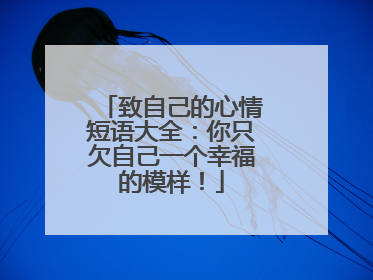 致自己的心情短语大全:你只欠自己一个幸福的模样!