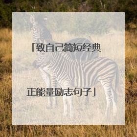 致自己简短经典正能量励志句子