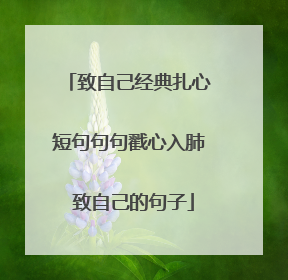 致自己经典扎心短句句句戳心入肺 致自己的句子