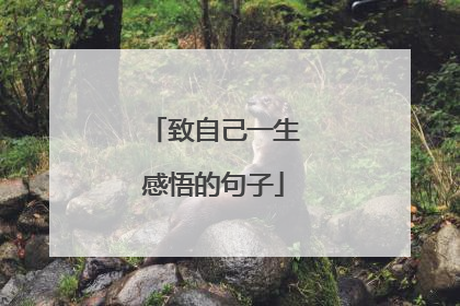 致自己一生感悟的句子