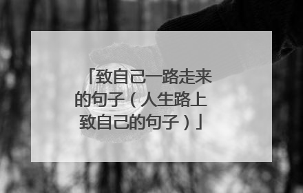致自己一路走来的句子（人生路上致自己的句子）