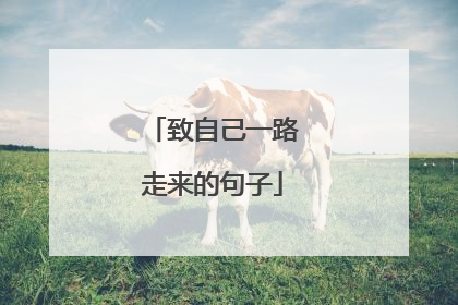 致自己一路走来的句子