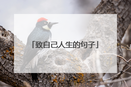 致自己人生的句子