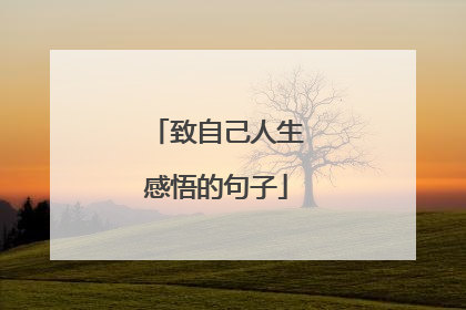 致自己人生感悟的句子