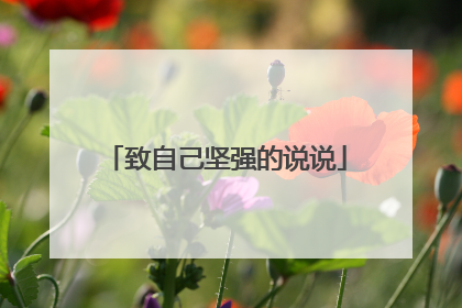 致自己坚强的说说