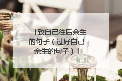 致自己往后余生的句子（过好自己余生的句子）