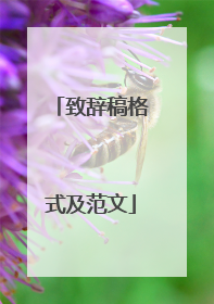 致辞稿格式及范文