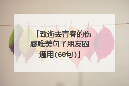 致逝去青春的伤感唯美句子朋友圈通用(60句)