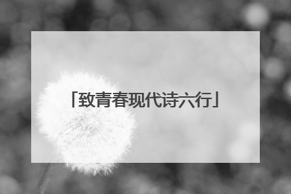 致青春现代诗六行
