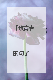 致青春的句子