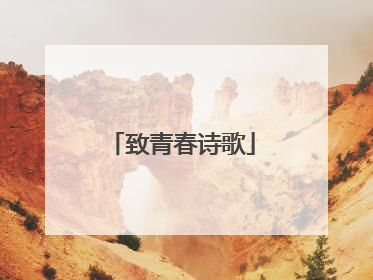 致青春诗歌