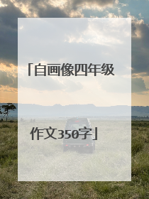 自画像四年级作文350字