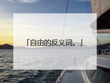 自由的反义词。