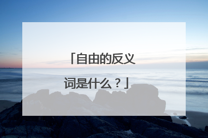 自由的反义词是什么？