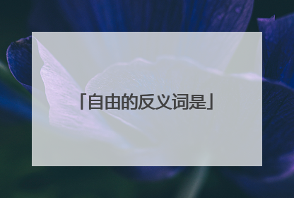 自由的反义词是