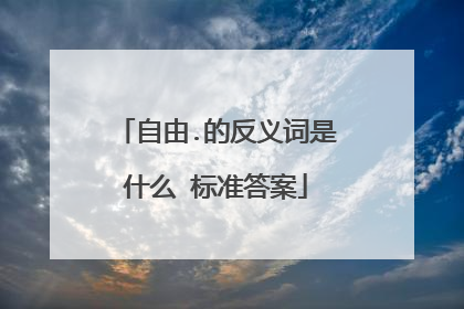 自由.的反义词是什么 标准答案
