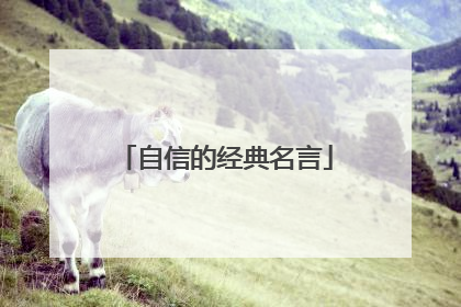 自信的经典名言