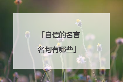 自信的名言名句有哪些