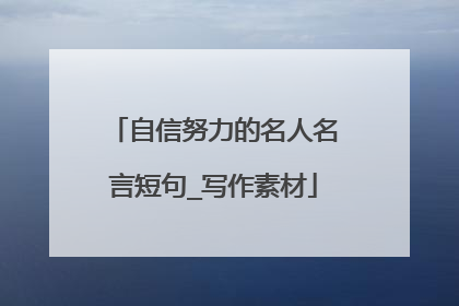 自信努力的名人名言短句_写作素材