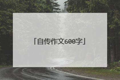 自传作文600字