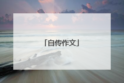自传作文