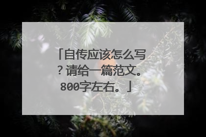 自传应该怎么写？请给一篇范文。800字左右。