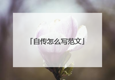 自传怎么写范文