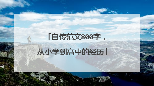 自传范文800字,从小学到高中的经历