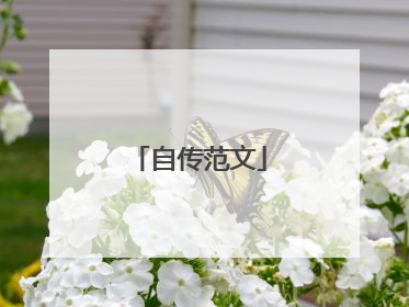 自传范文