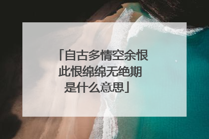 自古多情空余恨 此恨绵绵无绝期是什么意思